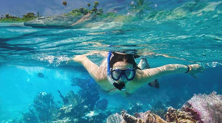 Snorkeling con le Tartarughe